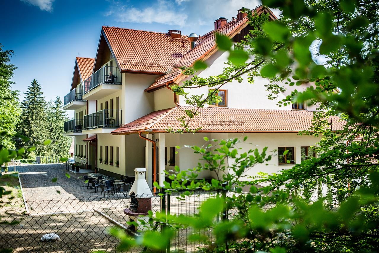 Отели типа «постель и завтрак» Villa Obis Шклярска-Поремба-16