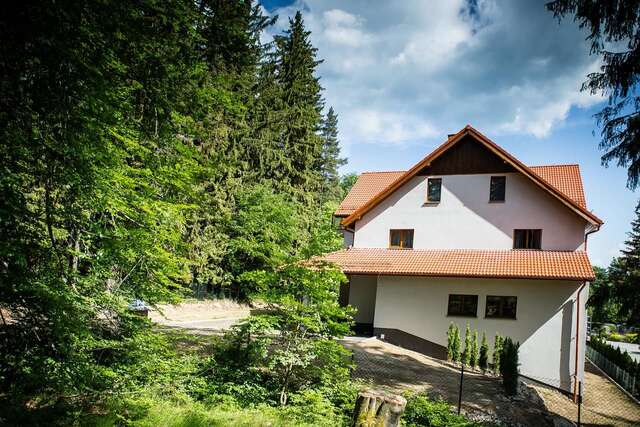 Отели типа «постель и завтрак» Villa Obis Шклярска-Поремба-44